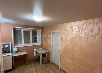 Продаю однокомнатную квартиру, 25.2 м2, Нижний Новгород, Нижегородская улица, 10, Нижегородский район