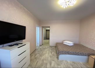 Сдача в аренду однокомнатной квартиры, 43 м2, Новосибирск, бульвар Молодёжи, 15, метро Студенческая