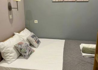 Сдается в аренду комната, 12 м2, Санкт-Петербург, бульвар Новаторов, 108, метро Ленинский проспект