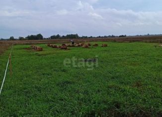 Продам земельный участок, 12.6 сот., деревня Борисовичи, деревня Борисовичи, 10