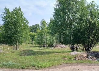 Участок на продажу, 11 сот., Новосибирская область