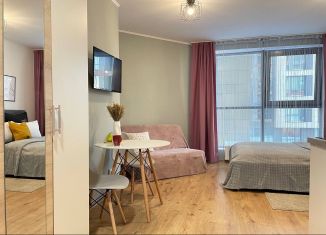 Аренда квартиры студии, 26 м2, посёлок Парголово, Толубеевский проезд, 8к2