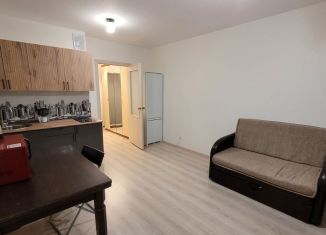 Сдаю в аренду квартиру студию, 21.9 м2, Екатеринбург, Латвийская улица, 58/2, ЖК Хрустальные Ключи