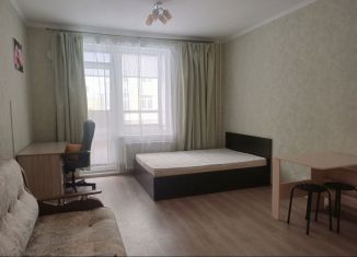 Сдается квартира студия, 27 м2, Сертолово, Тихвинская улица, 10к6