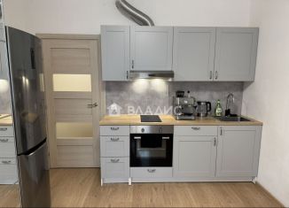 Продажа квартиры студии, 24.6 м2, Кудрово, Английская улица, 3к3