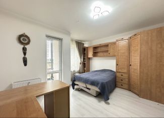 Продается квартира студия, 24.7 м2, Санкт-Петербург, улица Генерала Кравченко, 3к2, муниципальный округ Сосновая Поляна