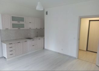 Сдача в аренду 1-комнатной квартиры, 27.5 м2, Санкт-Петербург, Арцеуловская аллея, 19, муниципальный округ Коломяги