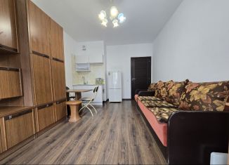 Аренда квартиры студии, 23.2 м2, Мурино, Графская улица, 12к1