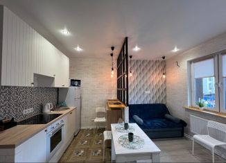 Продам квартиру студию, 25.8 м2, деревня Пирогово, улица Сурикова, 1