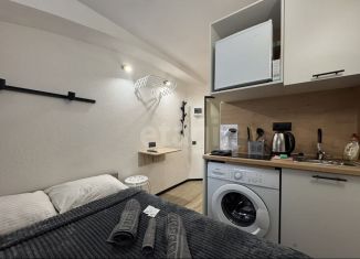 Продаю квартиру студию, 10.1 м2, Санкт-Петербург, Сапёрный переулок, 10, Центральный район
