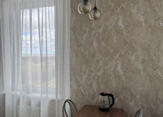 Сдам в аренду 1-ком. квартиру, 42 м2, Тобольск, ЖК Иртыш, микрорайон Центральный, 28