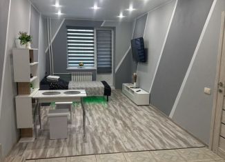 Сдается в аренду квартира студия, 31.3 м2, деревня Бородино, Варшавское шоссе