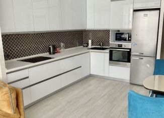 Сдаю трехкомнатную квартиру, 75 м2, Нижний Новгород, Первоцветная улица, 8к2, метро Горьковская