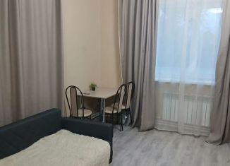 Сдается квартира студия, 27 м2, поселок городского типа Большие Вяземы, посёлок городского типа Большие Вязёмы, 37А