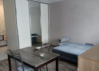 Квартира в аренду студия, 33 м2, Сыктывкар, Октябрьский проспект, 220, район Орбита