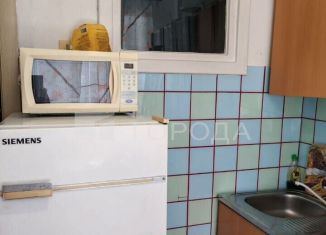 Сдаю в аренду 1-комнатную квартиру, 36 м2, Новосибирск, улица Семьи Шамшиных, 83, Центральный район