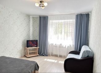 Сдам 1-комнатную квартиру, 45 м2, Йошкар-Ола, улица Анциферова, 27А, 1-й микрорайон