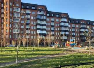 Продажа двухкомнатной квартиры, 70 м2, Санкт-Петербург, Репищева улица, 7, Репищева улица