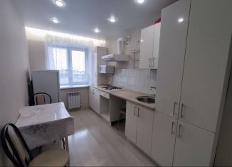 Сдается в аренду 1-комнатная квартира, 38 м2, Йошкар-Ола, улица Йывана Кырли, 37, микрорайон Дружный