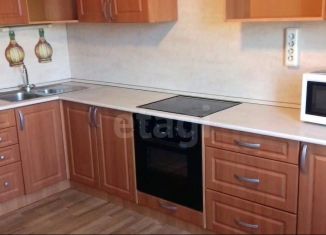 Сдам в аренду 2-ком. квартиру, 61 м2, Санкт-Петербург, улица Софьи Ковалевской, 20к1, Калининский район
