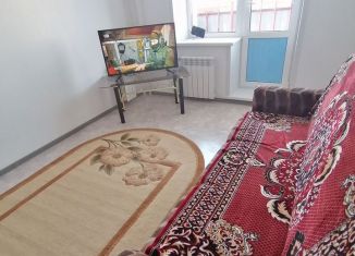 Сдается в аренду 1-комнатная квартира, 35 м2, Амурская область, Шатковская улица, 1