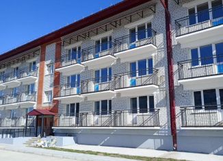 Продается квартира студия, 24.2 м2, село Чигири, Восточная улица, 14