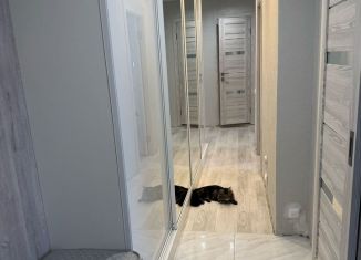 Продам трехкомнатную квартиру, 67 м2, Елабуга, улица Хирурга Нечаева, 11