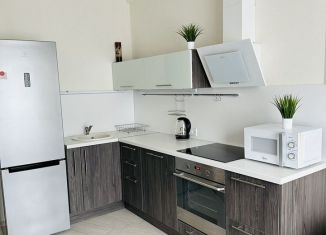 1-ком. квартира в аренду, 42 м2, Карелия, улица Еремеева, 38