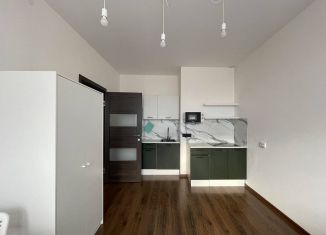 Сдается в аренду 1-комнатная квартира, 35 м2, Санкт-Петербург, Комендантский проспект, 66к3, метро Комендантский проспект