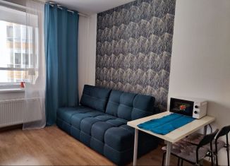 Продается квартира студия, 23.7 м2, Кудрово, проспект Строителей, 20к1