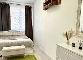 2-ком. квартира на продажу, 47.5 м2, Пушкин, Камероновская улица, 10с3, ЖК Инкери