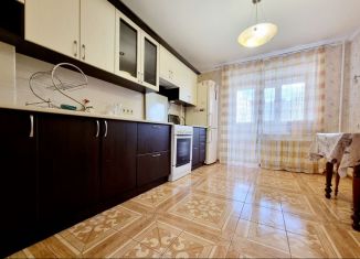 Сдача в аренду однокомнатной квартиры, 48.8 м2, Йошкар-Ола, бульвар Ураева, 3, микрорайон Восточный