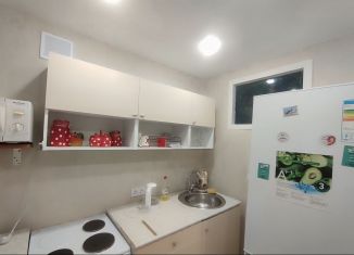 Аренда 1-комнатной квартиры, 30 м2, Новосибирск, улица Блюхера, 17