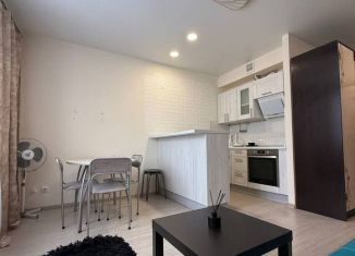 Квартира в аренду студия, 25 м2, Королёв, Бурковский проезд, 48к3