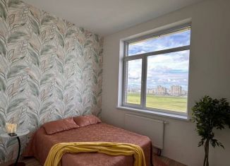 Продается 1-ком. квартира, 36.8 м2, Мурино, Ручьёвский проспект, 17к1, ЖК Айди Мурино