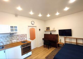 Сдается в аренду квартира студия, 26 м2, Мурино, бульвар Менделеева, 3