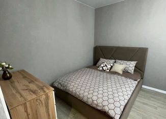 Сдача в аренду 1-комнатной квартиры, 37 м2, Ульяновск, Стартовый проезд, 3