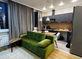 Сдача в аренду квартиры студии, 30 м2, Долгопрудный, Парковая улица, 44к1, ЖК Бригантина