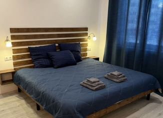 Квартира в аренду студия, 28 м2, Нижний Новгород, улица Маршала Баграмяна, 2, Советский район