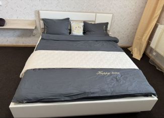Сдача в аренду квартиры студии, 31 м2, Оренбург, улица Эссена, 12