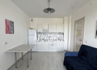 Продам 1-комнатную квартиру, 35 м2, Санкт-Петербург, проспект Будённого, Красносельский район