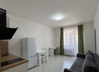 Квартира на продажу студия, 23.6 м2, Санкт-Петербург, муниципальный округ Пулковский Меридиан, Пулковское шоссе, 73к6