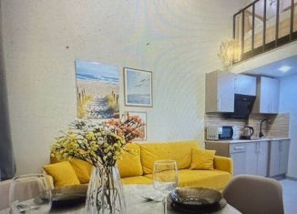 Продажа квартиры студии, 20 м2, Санкт-Петербург, Корпусная улица, 26, Петроградский район