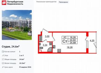 Продажа квартиры студии, 24.6 м2, Санкт-Петербург, метро Звёздная