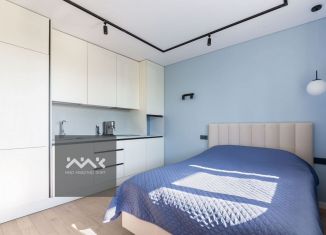 Продаю квартиру студию, 28.2 м2, Санкт-Петербург, Парфёновская улица, 17, ЖК Московские ворота II