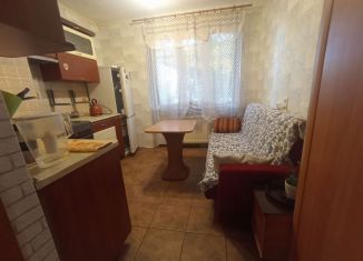 Сдается в аренду однокомнатная квартира, 43 м2, Санкт-Петербург, проспект Энтузиастов, метро Проспект Большевиков