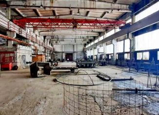 Сдается в аренду производство, 20000 м2, Псковская область, улица Морозовская Ветка, 23