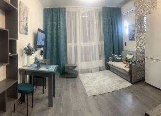 Сдам квартиру студию, 25 м2, Краснодар, улица Ивана Беличенко, 92к5