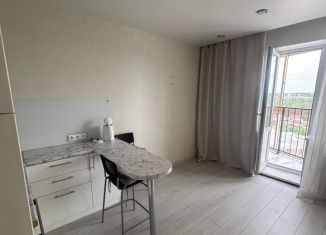 1-ком. квартира на продажу, 22.6 м2, поселок Зональная Станция, улица Виталия Грачёва, 2Б