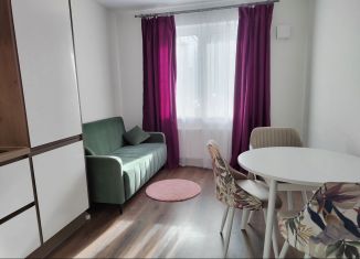 Двухкомнатная квартира в аренду, 52 м2, Санкт-Петербург, Дальневосточный проспект, 35к3, ЖК Цивилизация